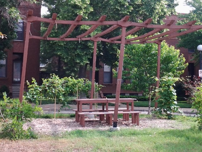 1.Old Pergola 5-26